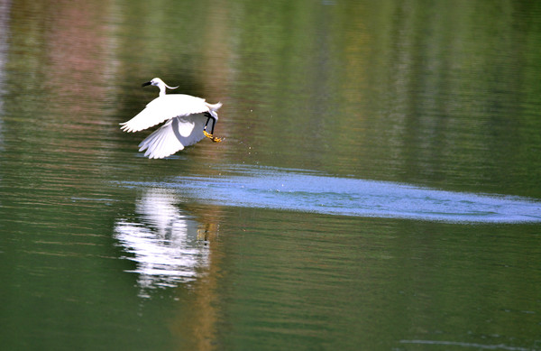 ���������ˮӰ