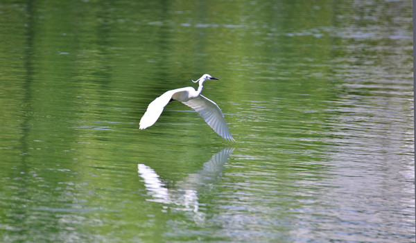 �����еİ���