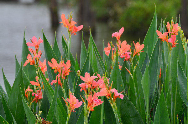 ���ߵ����˽�