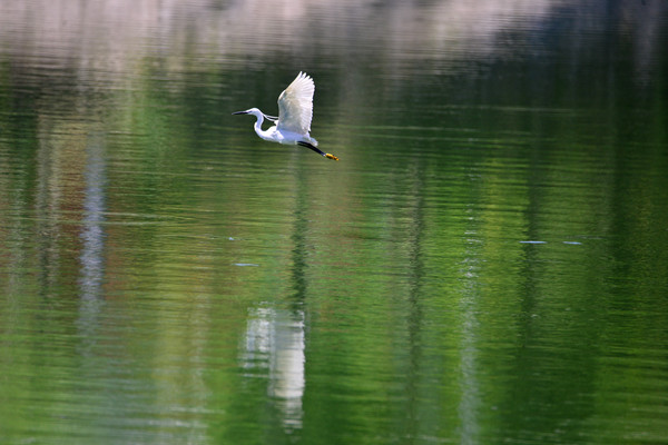 ˮ���ϵİ���