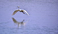 ˮа