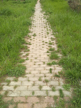С·