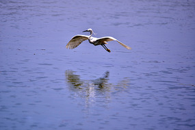 չ�����İ���