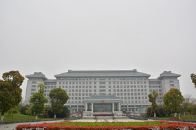 ������������¥