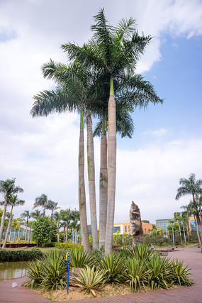 ����Ҭ����