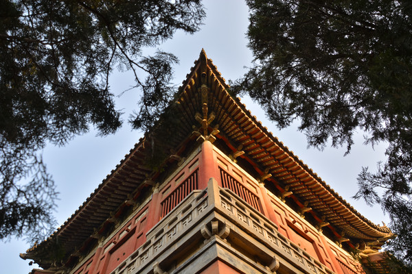 ��¥��������