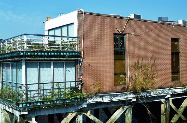 ��԰�Ž���ͼƬ