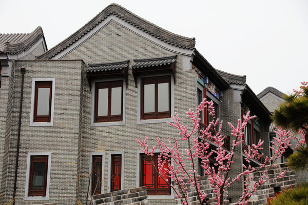 ���ɽ���