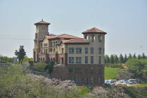 ɽ������