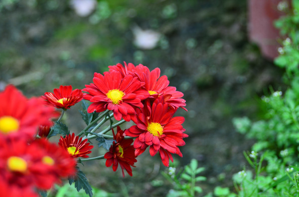 һ����õĺ��