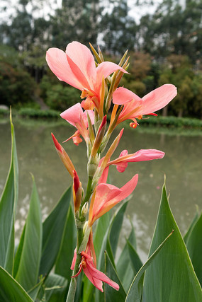 �ӱ����˽�