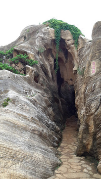 ��ʯ԰�е��Ҷ�