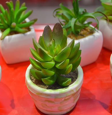 ����Ҷ��