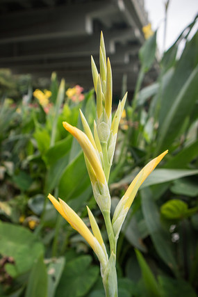 ���˽��Ļ���