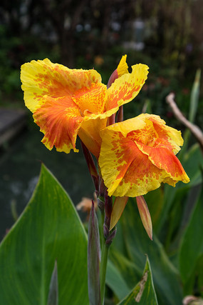 ���������˽�