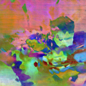 ����������