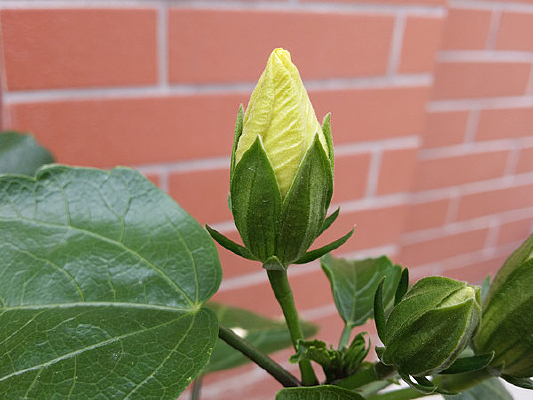 ��ɣ�����Ƕ�