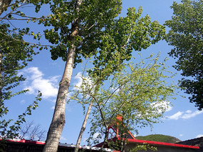 �����е����