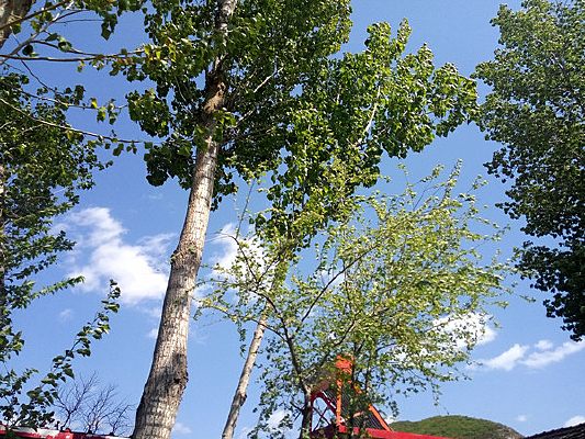 �����е����