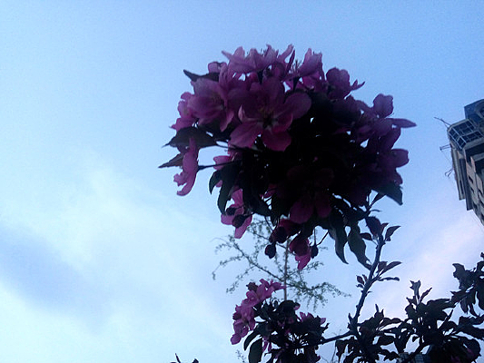 һ�������Ļ�