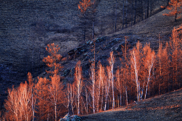 ������Ϧ��