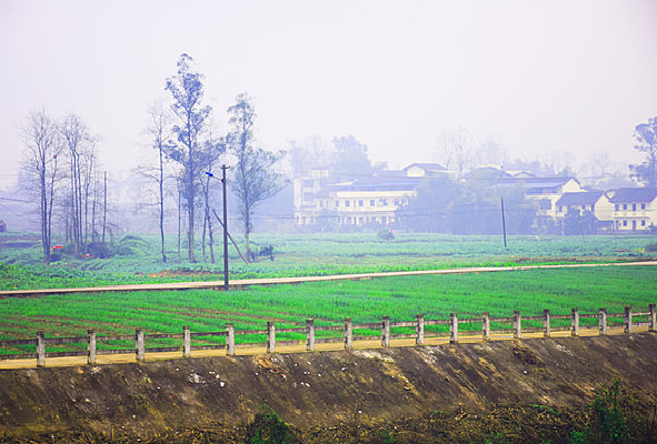 ��������Ұ