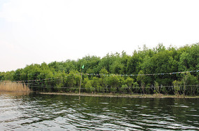 �ɾ��Ķ���