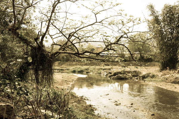 �ӱ߿��ϵ���ľ