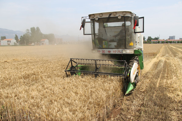 ������ҵ