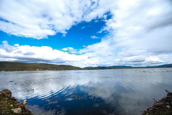 �����Ķ���