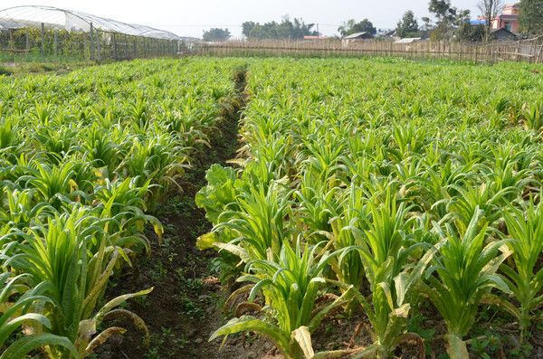 Ư����ݫ��