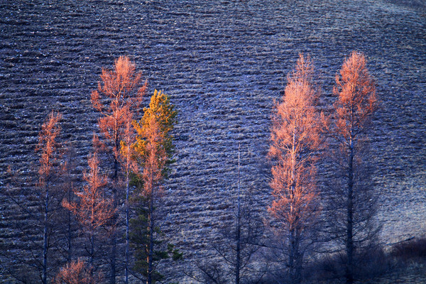 ɽ������Ϧ�շ羰