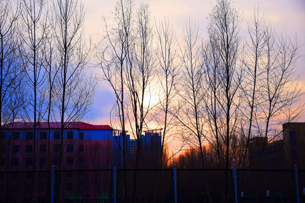 Ϧ���µ�����¥