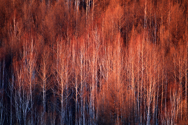 Ϧ�����ַ羰 