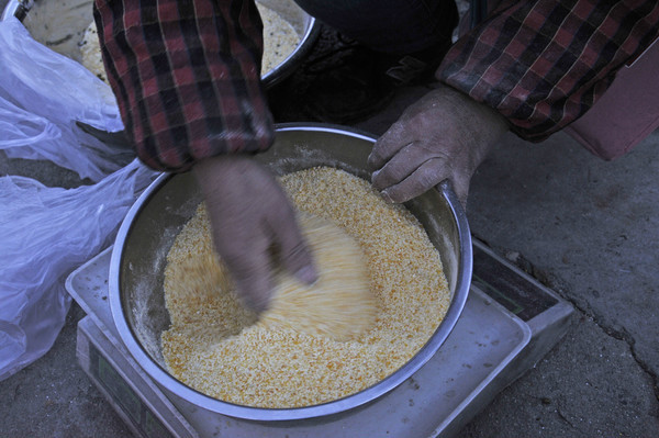  ����������������