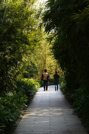 ����С��