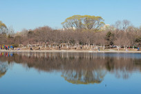 ����԰��