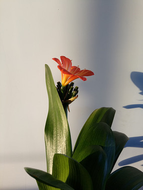 һ�þ���ľ�������ͼƬ