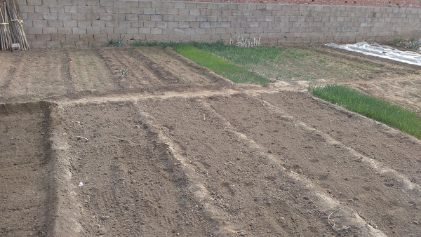 �����԰�ӵ�ͼƬ