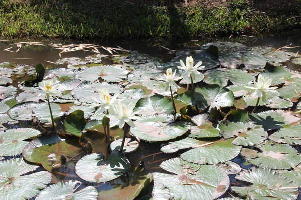 �����µ�˯��