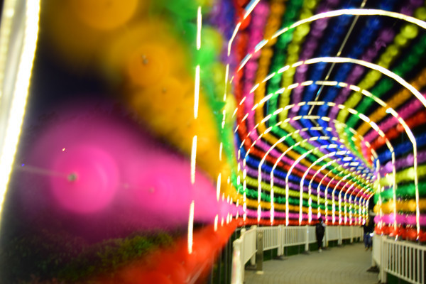 �ʺ�����