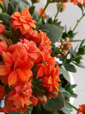 ����ĳ��ٻ�ͼƬ