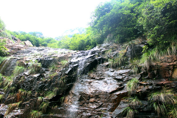 ����ɽ��