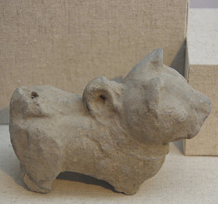 �������չ�