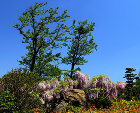 ïʢ����ͼƬ