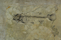 �Ҿ��������㻯ʯ 