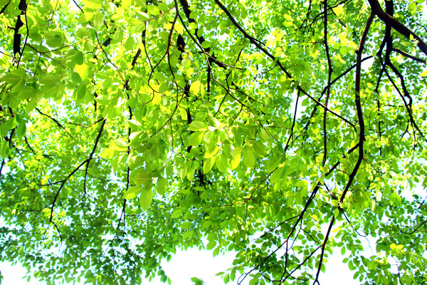 ����֮��