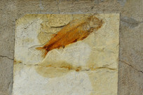 ��٪�����㻯ʯ