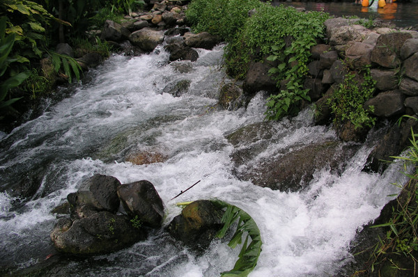 ���ɾ�Ȫ�ٲ�