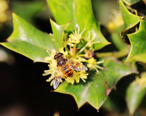 ���۵��۷�